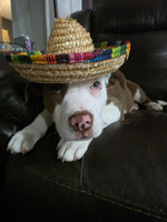 Load image into Gallery viewer, Oliver