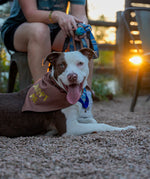 Load image into Gallery viewer, Oliver