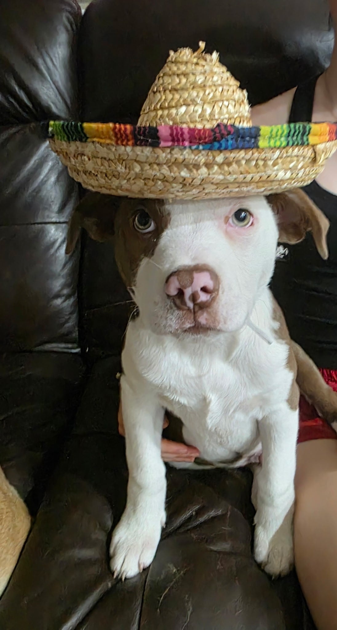 Oliver