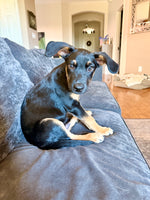 Load image into Gallery viewer, Romo
