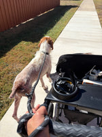 Load image into Gallery viewer, Beasley
