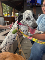 Load image into Gallery viewer, Sammy
