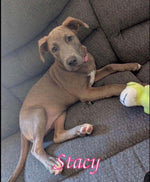 Load image into Gallery viewer, Stacy
