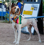 Load image into Gallery viewer, Beasley
