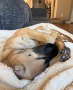 Load image into Gallery viewer, James
