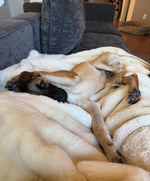 Load image into Gallery viewer, James
