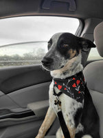 Load image into Gallery viewer, Noah
