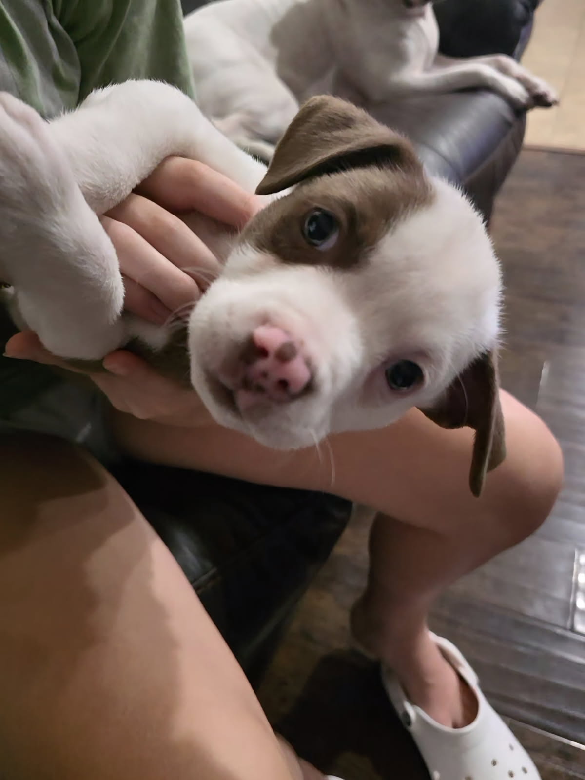 Oliver